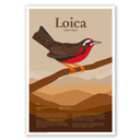 Pósters ilustrados, 1