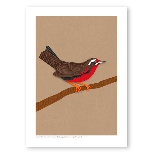 [09] Fauna y naturaleza, varias láminas